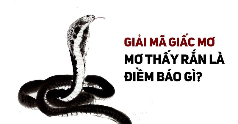 Mơ thấy ăn thịt rắn đánh con con gì mau đổi đời